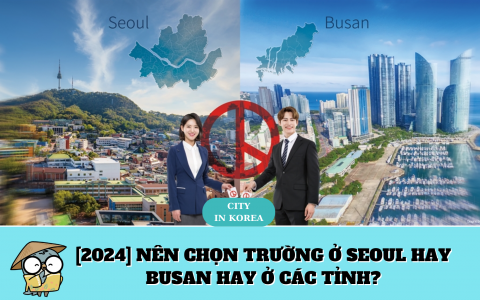 [2024] NÊN CHỌN TRƯỜNG Ở SEOUL HAY BUSAN HAY Ở CÁC TỈNH?